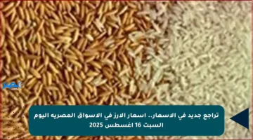تراجع جديد في الأسعار.. أسعار الأرز في الأسواق المصرية اليوم السبت 16 أغسطس 2025
